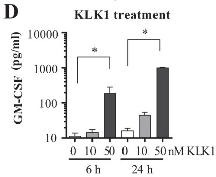 KLK1